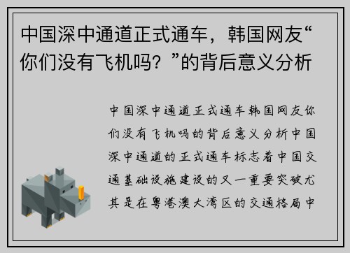 中国深中通道正式通车，韩国网友“你们没有飞机吗？”的背后意义分析